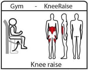 KneeRaise