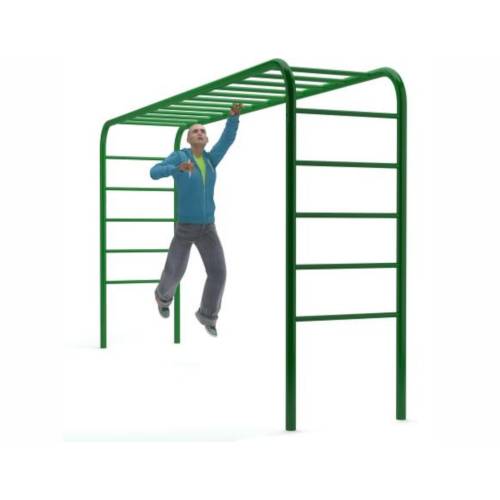 Inshape Horizontal Ladder фото