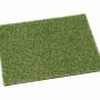 Golf Green фото 1
