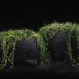 Planter Flox, low фото 2